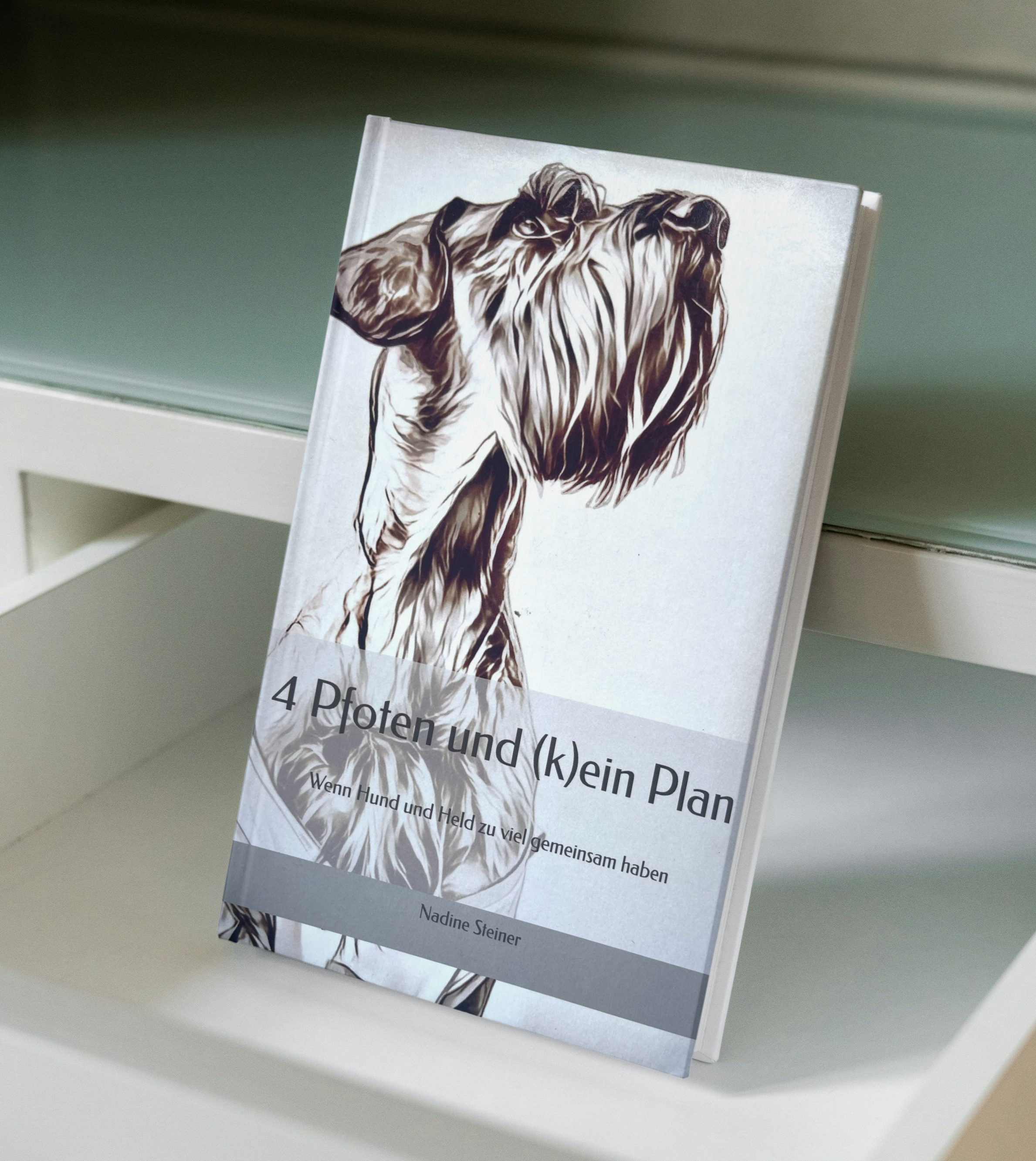 Buch - Vier Pfoten und (k)ein Plan     ......................................      nur auf Amazon erhältlich